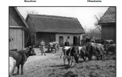 Przechwytywanie w trybie pelnoekranowym 2014-05-29 081134.bmp