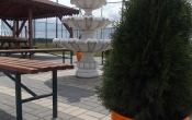 DSCF0164