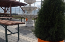 DSCF0164