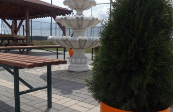DSCF0164
